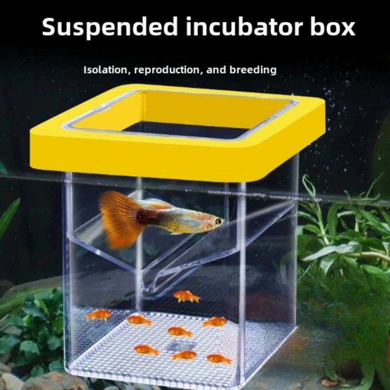 Aquarium Fish Breeding Box Durable Fish Tank Small Shrimp Breeding Isolation Box Aquarium Transparent Hatcher