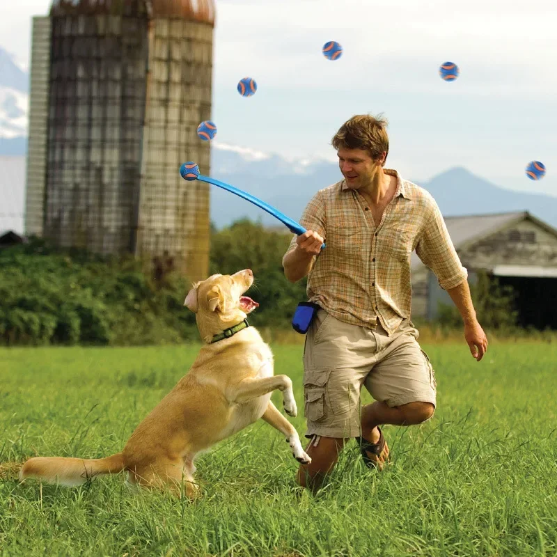 petmate rubber ball Chuckit classic pinball pet dog toy chew-resistant teething interactive voice dog walking 3