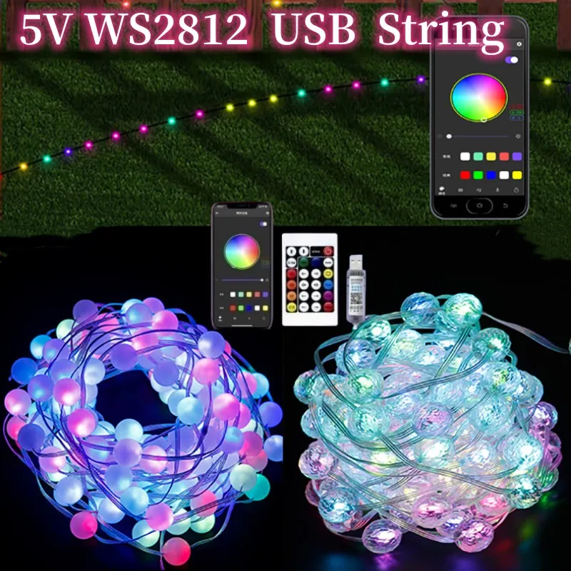 

3M/5M/10M 5V USB LED String Light RGB Ws2812 Pixel Light Garland Light Waterproof Fairy Lights for Christmas Wedding Party Decor