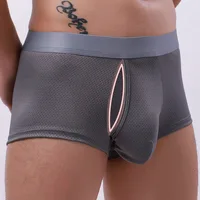 Hot Penis Hole Men Boxers Underwear Sexy Mesh Penis Pouch Male Panties Men U Convex Trunks Boxershorts Gay Lingerie Underpants 1