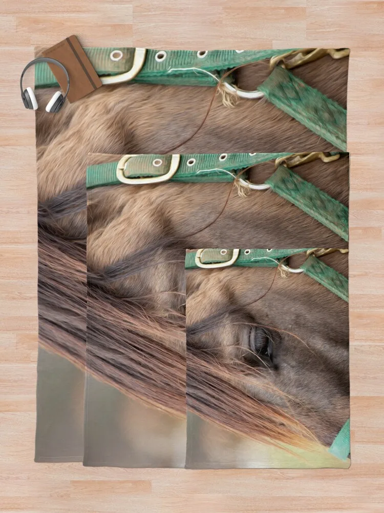 �� �� Ŭ����� ��ũ ���� ���� �� ������ ���, �ܿ� �ڽ����� �ִϸ��̼� ����, ������ ��� ������