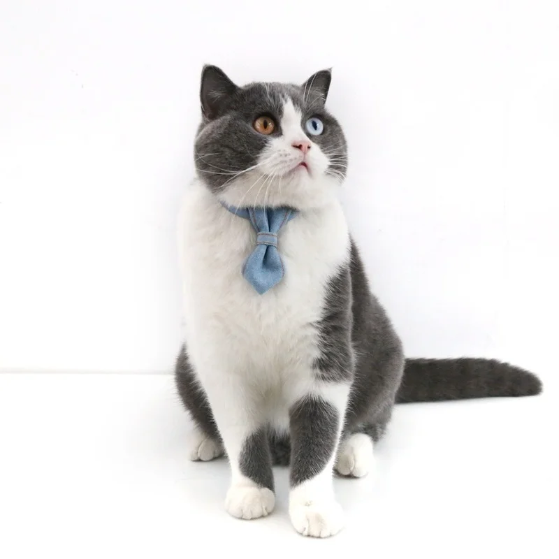 Title 14, Pet Denim Bow Tie Cat Dog Collar Adjustable Nec...