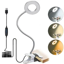 LED Desk Lamp with Clip: Flexible Gooseneck, Eye Protection, Adjustable Brightness (Silver Version)