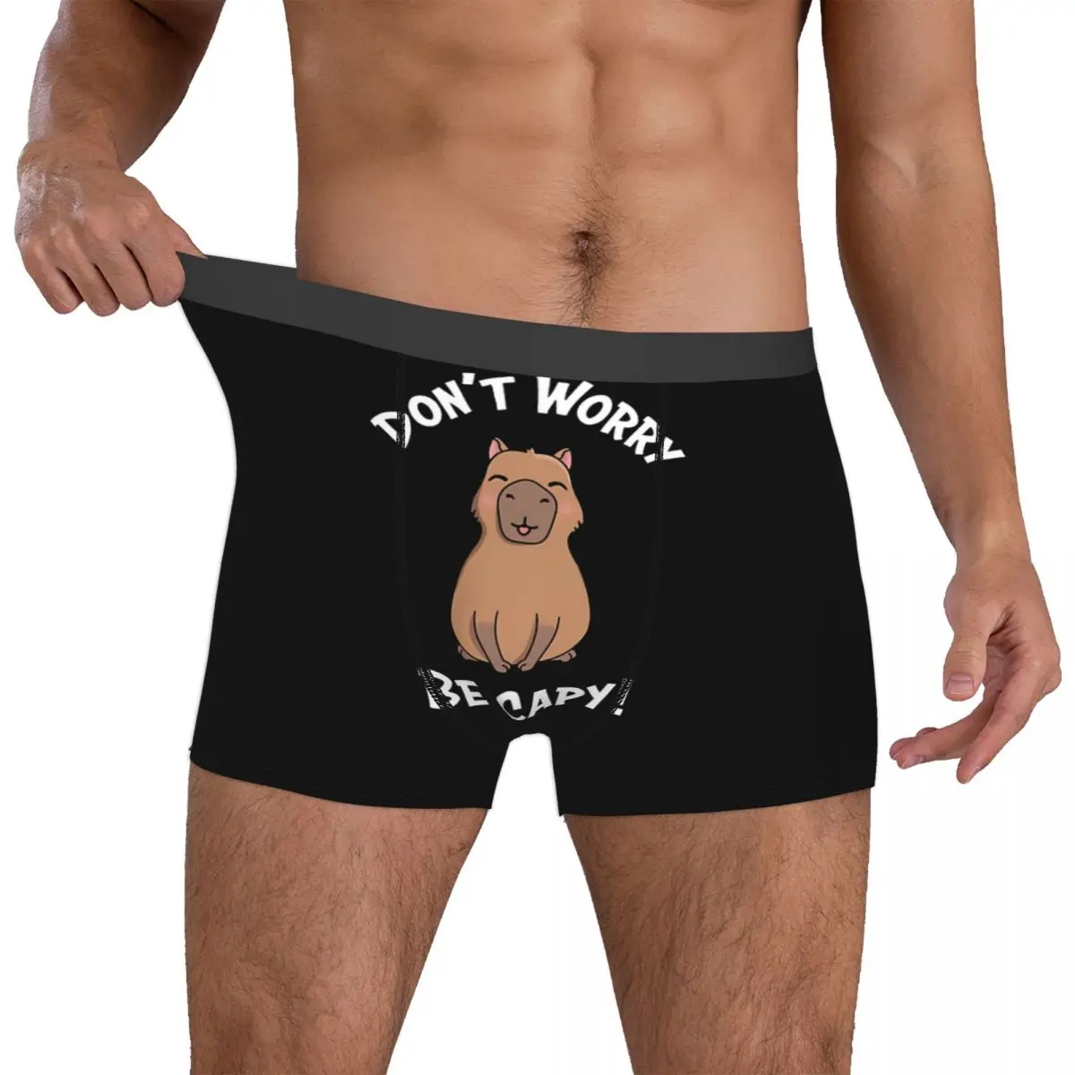 Capy Man's Boxer Briefs Capybara Highly Breathable Underwear Top Quality Print Shorts Birthday Gifts 4