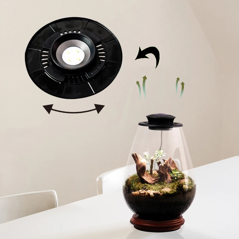 F2 Miniature Gardening Glass Plant Terrarium with Grow Light Succulent Moss Landscape Glass Terrarium Plant Lovers Gift