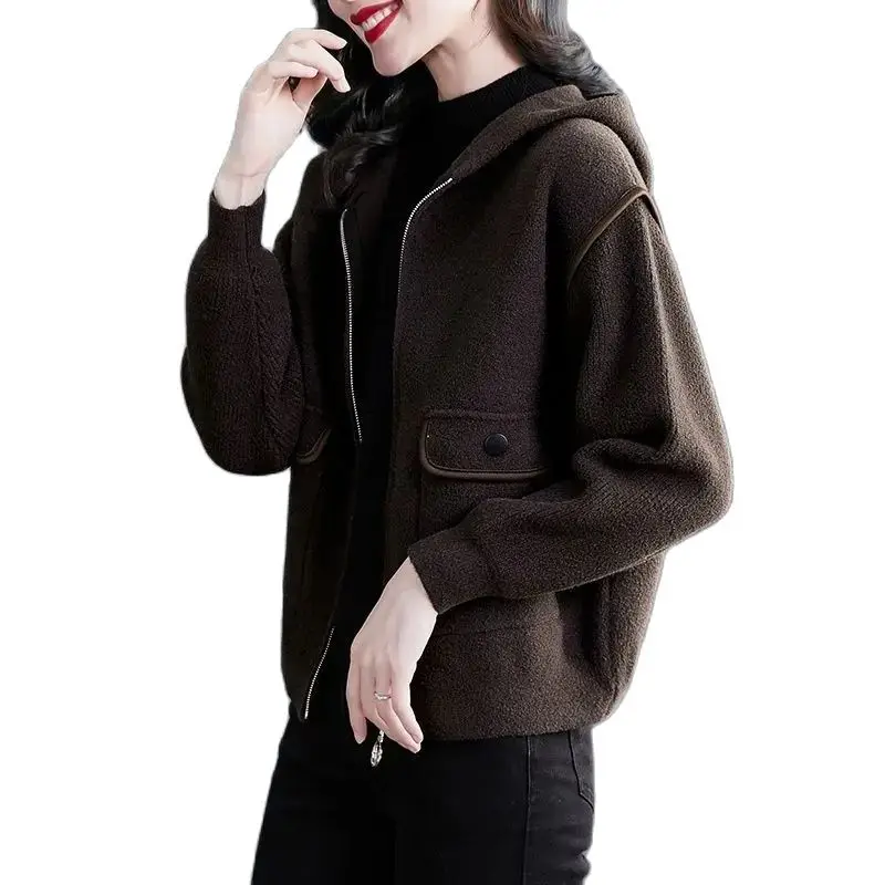 

Autumn Winter Advanced Sense Double-sided Cashmere Woolen Coat 2023 Women Casual Zipper Mother Outwear Hooded Short Wool Jacket