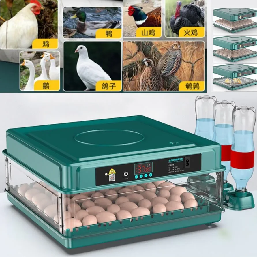 

Brooder 6/12pcs Egg Incubator Fully Automatic Temperature Control Water Replenishment Quail Bird Goose Eggs Chicken Farm Machine