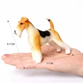 Wire fox terrier