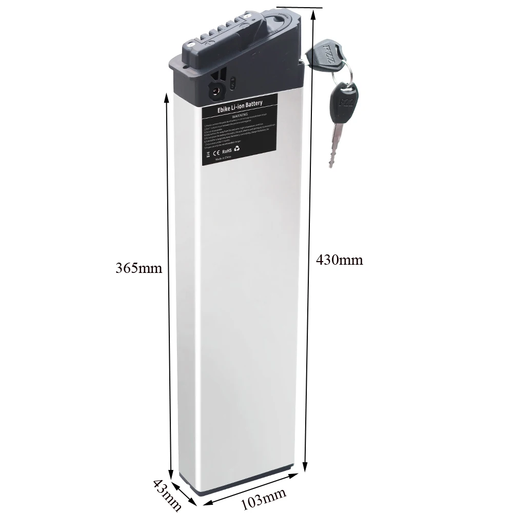 Batterie Vélo électrique BMZ 25V 24Ah – Pour KETTLER Twin NX8 – Neuf