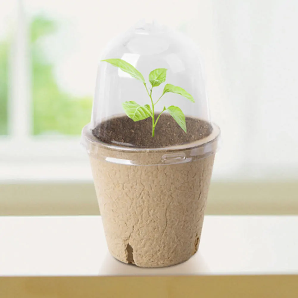 Eco-Friendly Seedling Cups with Transparent Dome for Germination Biodegradable Garden Planters 10 Pcs Set