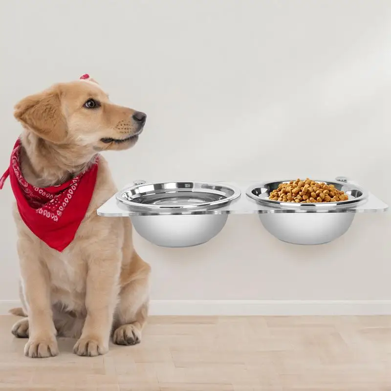 

Mounted Elevateddog bowls Stainless Steel Adjustable Cats Bowls Water Food Feeder For Cats And Dogs Elevated Dog Bowl Stand