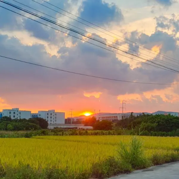 Shop1102982653 Store