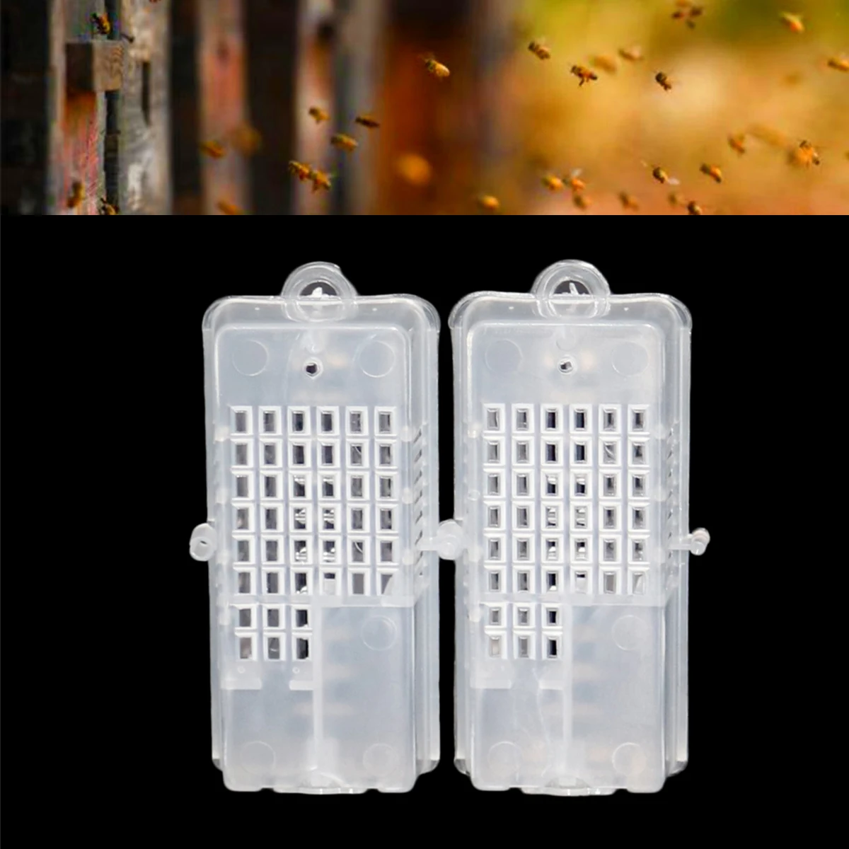 10Pcs Transparent Queen Bee Cage Plastic Large Size Multifunctional Box Queen Bee Escape Prevention Frame Beekeeping Supplies