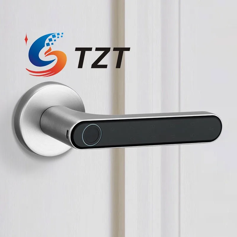 TZT 그레이 블랙 골드 실버 지문 도어락, 스마트 잠금, 생체 인식 도어락, 핸들 포함, 홈 아파트 호텔