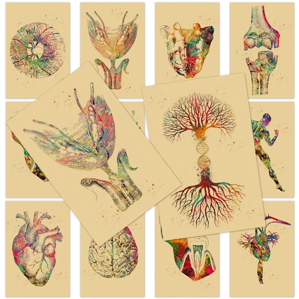 

Human Teeth Medical Dental Clinic Poster Painting Kraft Paper Skeleton Organs Prints Wall Art Pictures Living Room Decoration