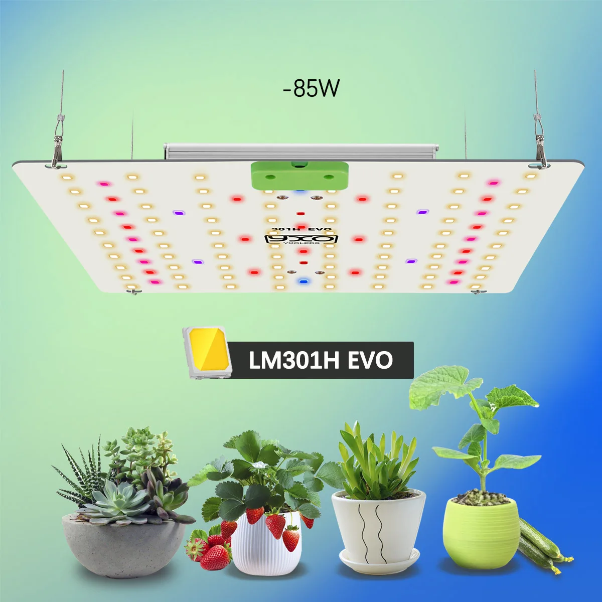 LM301H EVO LED Wachstumslampe mit 85W Infrarot-Wachstumslampe für Hydroponik Gartenbau Indoor-Pflanzenwachstumslampe – Detail 1