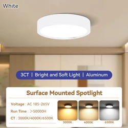 Ultra Thin Surface Mounted LED Ceiling Spot Light, 10W - 25W, for Living Room Lighting, 220V (Natural white)