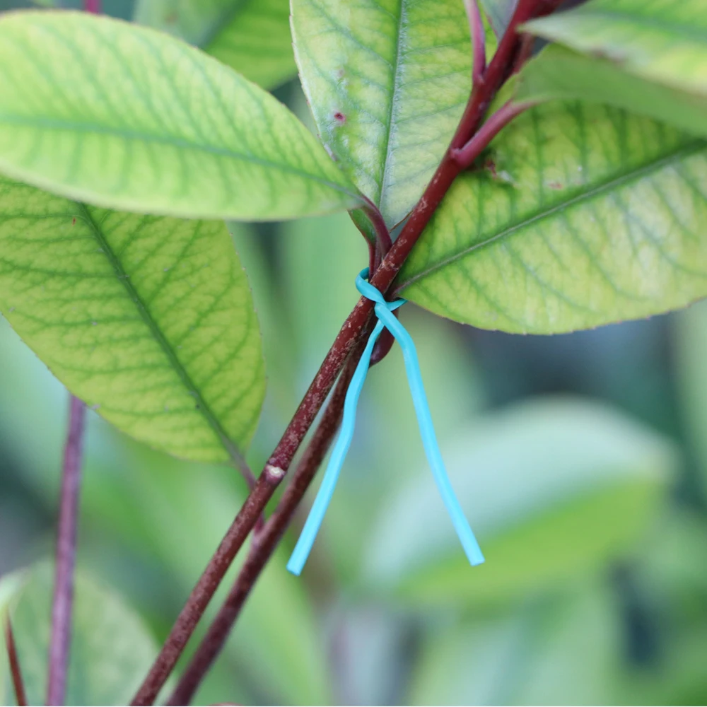 Plant Ties 100PCS 10-Colour Garden Cable Ties Reusable Oblate Iron Wire Tie for Flower Plant Climbing Vines Multifunction Coated Fix String