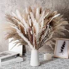 30pcs/set Natural Dried Flowers Bouquet Arrangement Dry Pampas Grass Rabbit Tail Dried Reed for Wedding Decoration Home Decor