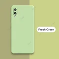 Fresh Green