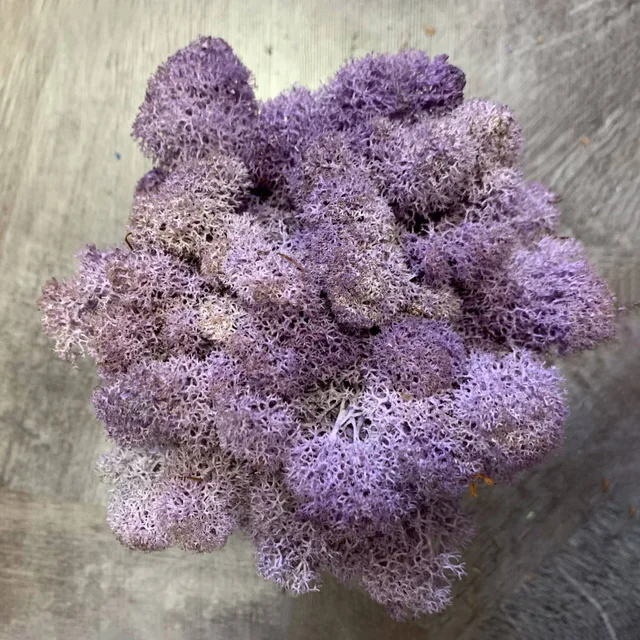 light purple