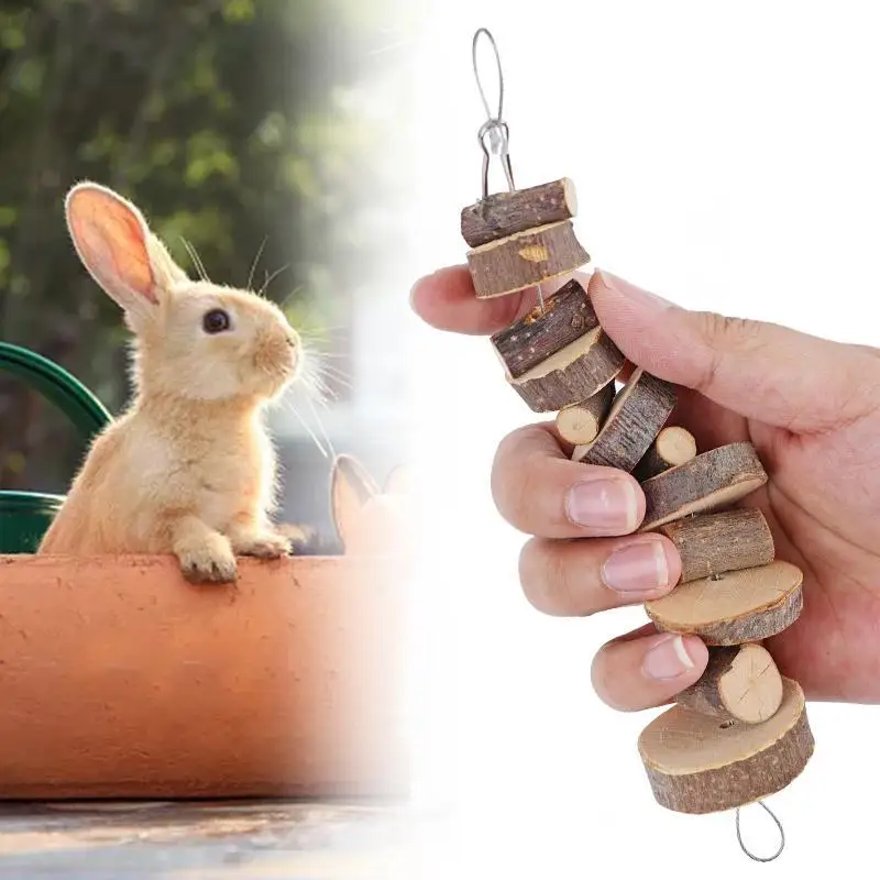 Natural Wood Chew Toy Wood Sticks for Small Pet Hamster Rabbit Apple Wood Molar String Squirrels Tooth Grinding Toy Pet Supplies 1