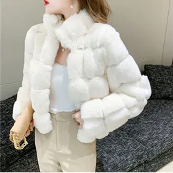 French Fashion Women's Short Coat Mink Fur-like Warm Ladies Europe And America Loose Wild Rex Rabbit Fur Winter Casual Coat Wome
