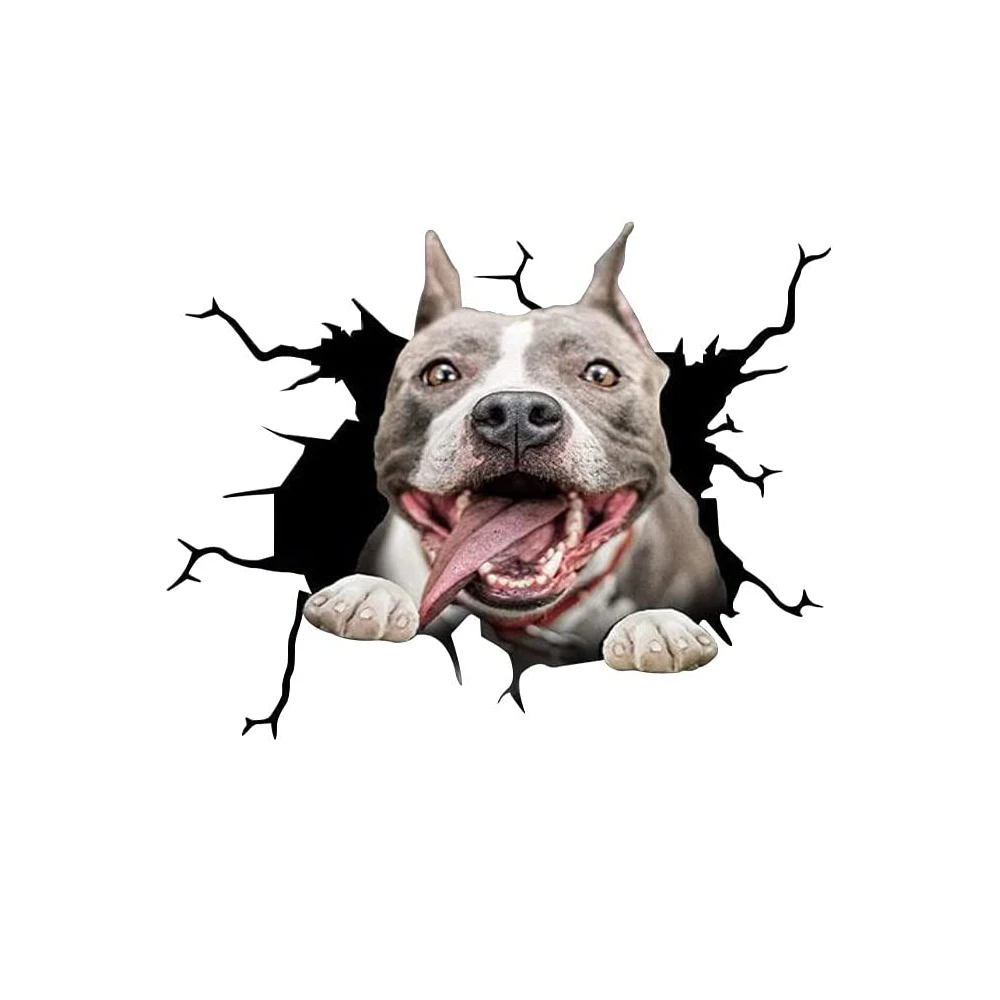 LYKX Riss Auto Aufkleber Fenster Aufkleber Hund Aufkleber Haustier Lustige  Welpen Liebhaber Aufkleber Individuelle Aufkleber Shih Tzu Auto Decals  Pitbull - AliExpress