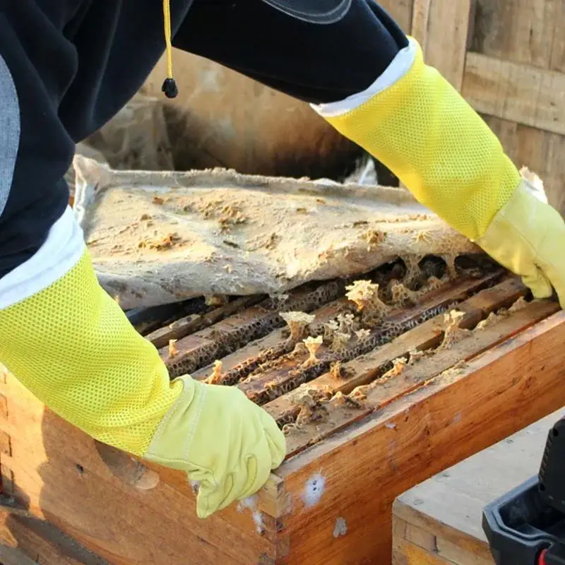 1 Pair Beekeeping Gloves Beekeeper Protective Sleeves Breathable Anti Bee/Sting Sheepskin Long Gloves Apiculture Tools