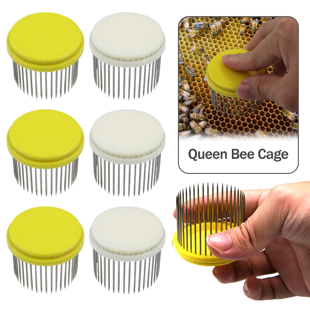 2-10Pcs Beekeeping Tool Stainless Steel Needle Queen Bee Cage Isolation Box Beehive Rearing Cover Catcher Beekeepers Equipment beekeeping tools beekeeping accessories