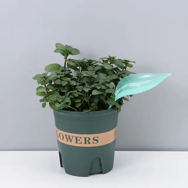 Nedves Gyökerek Csepegtető Öntözés Tét Tüskék Növényi Edény Tölcsér Levél Formájú Öntözőkert Kert - Image 3