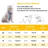 Puppy Harness and Leash Set, Breathable Pet Harness for Small and Medium-Sized Dogs and Cats, French Bulldog, Chihuahua, Poodle Pet Supplies 6