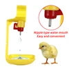 50PCS Chicken Automatic Drinking Cup Plastic Nipple Hanging Cup Drinking Bowl Water Supply Poultry Quail Chick Drinking Tool 4