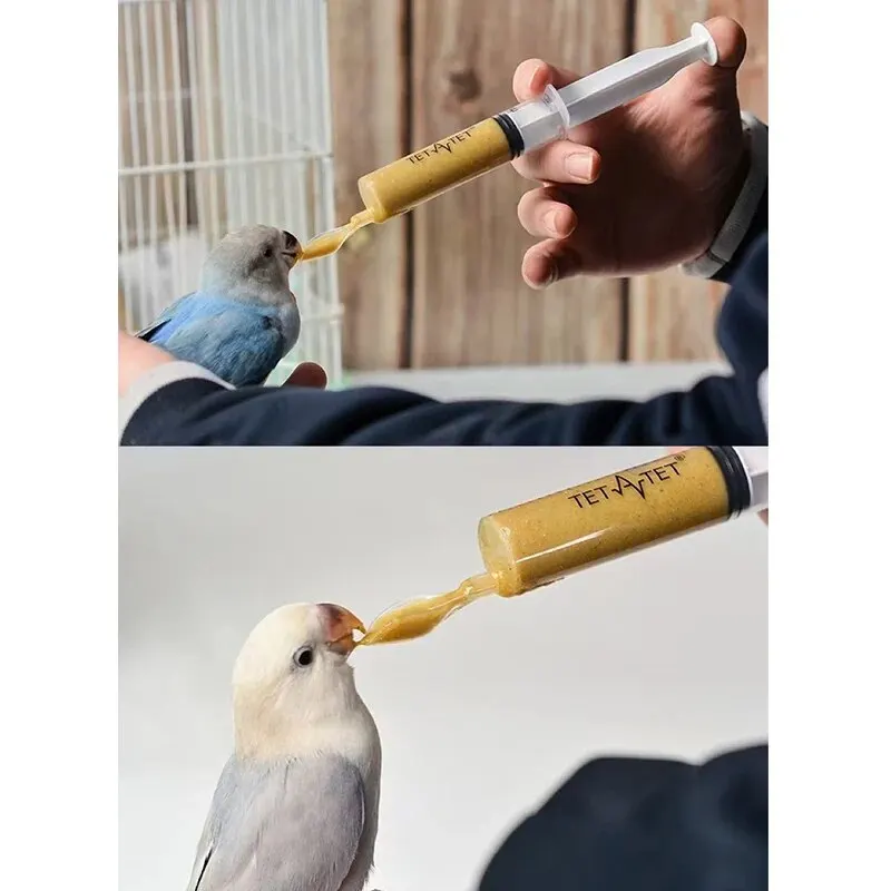 20ml Needle Feeder Bird Parrot Feeder Spoon Manual Syringe Baby Bird Water Milk Medicine Feeding Supplies 4Pcs