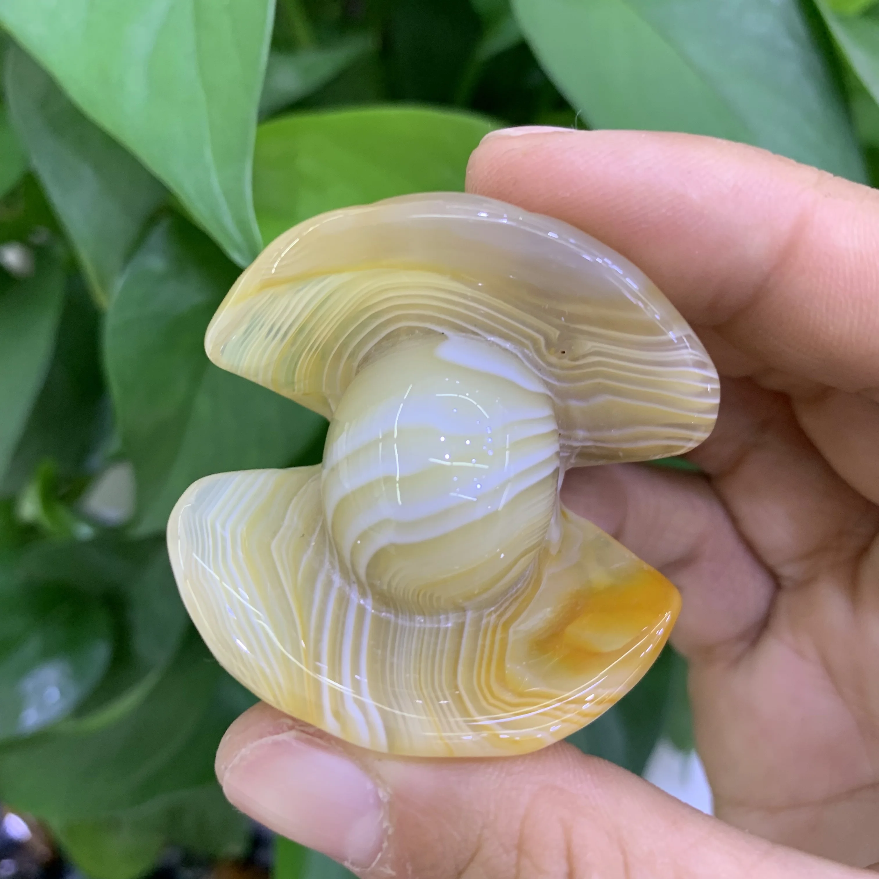 

Натуральный агат Морская раковина с жемчугом для украшения аквариума