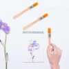 6pcs Wooden Handle Paint Brush Nylon Bristle Paint Brushes Wall Painting Brushes Reusable Brushes For Wall Painting Tool 3