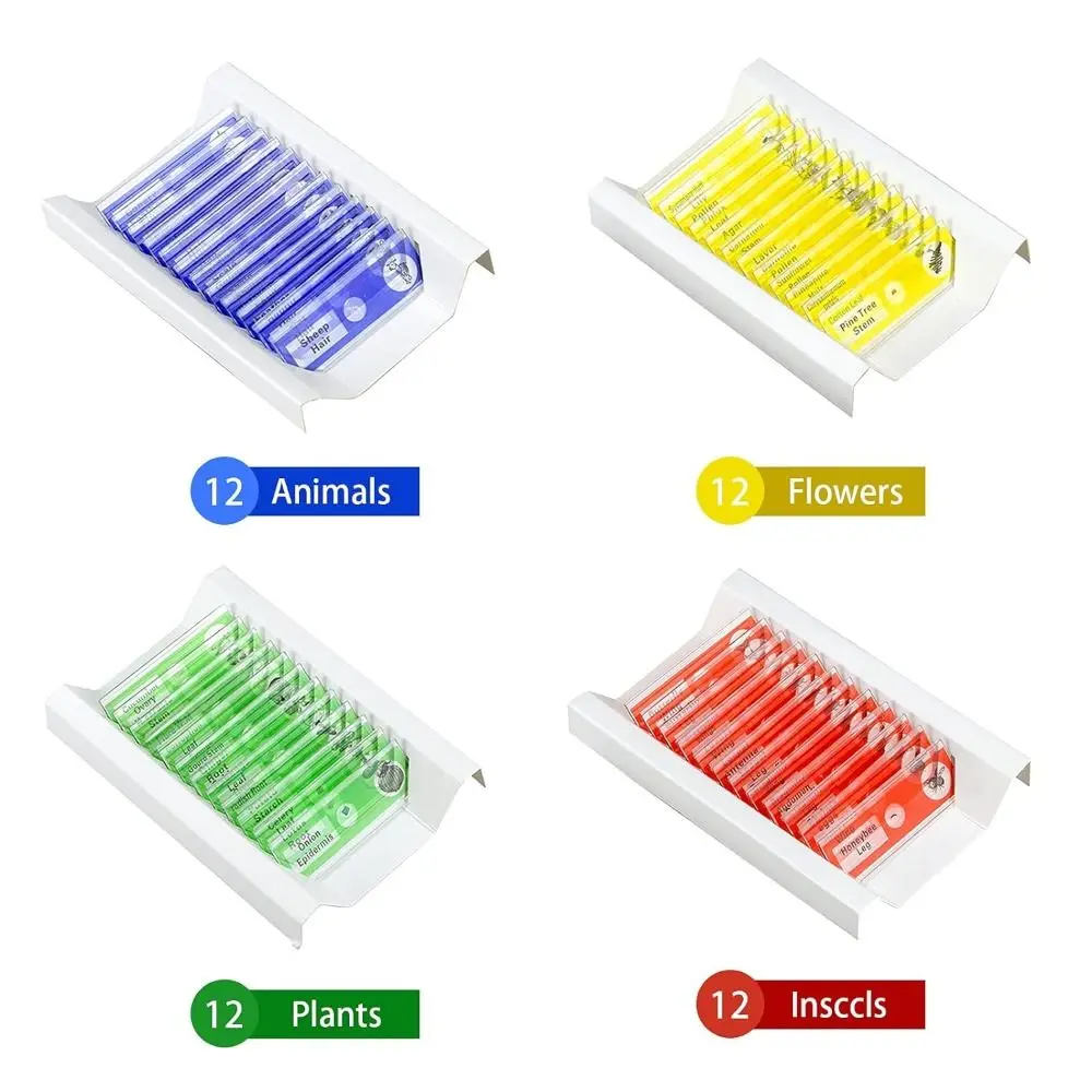 Microscope Glass Slides Prepared For Kids Students Plastic Animals Insects Plants Flowers