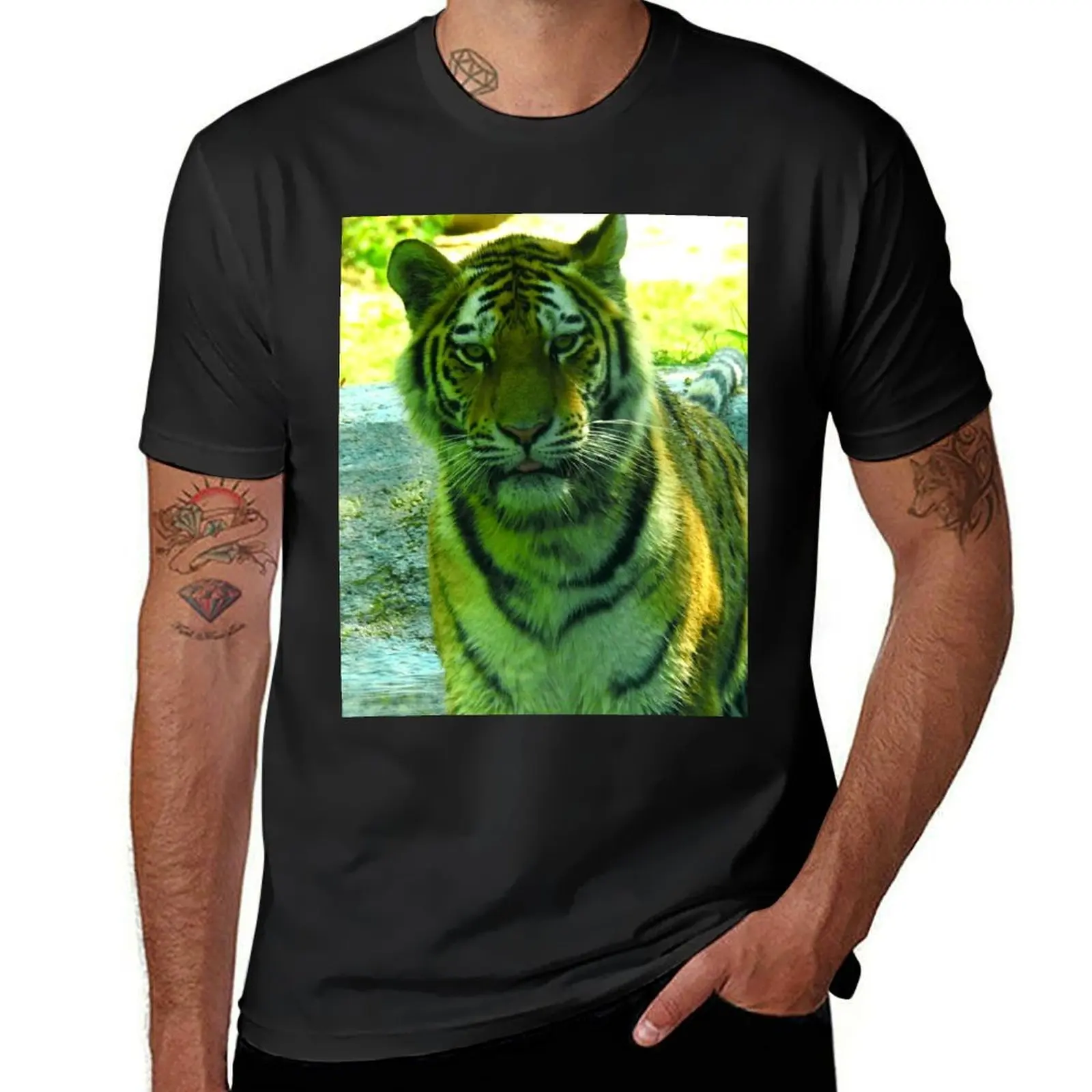

Summer Tiger T-shirt quick drying quick-drying blanks mens funny t shirts