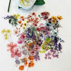 50 PCS Waterproof Transparent Flower Stickers Set (PET010)