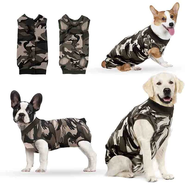 Dog Recovery Suit Abdominal Wound Puppy Surgical Clothes Post-Operative  Vest Pet After Surgery Wear Substitute E-Collar & Cone (M, Grey) :  : Pet Supplies