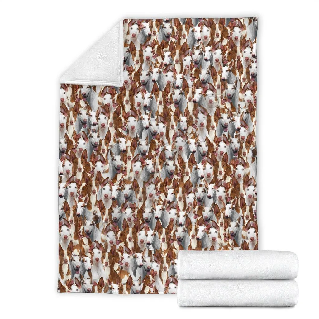 PLstar-�ڽ��� �̺��� �Ͽ�� Ǯ ���̽� ���, 3D ����Ʈ ���, ��� ���� ����Ʈ ħ�� Ŀ�� ��Ʈ �÷��� ���