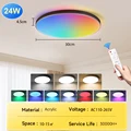 Black 24W RGB