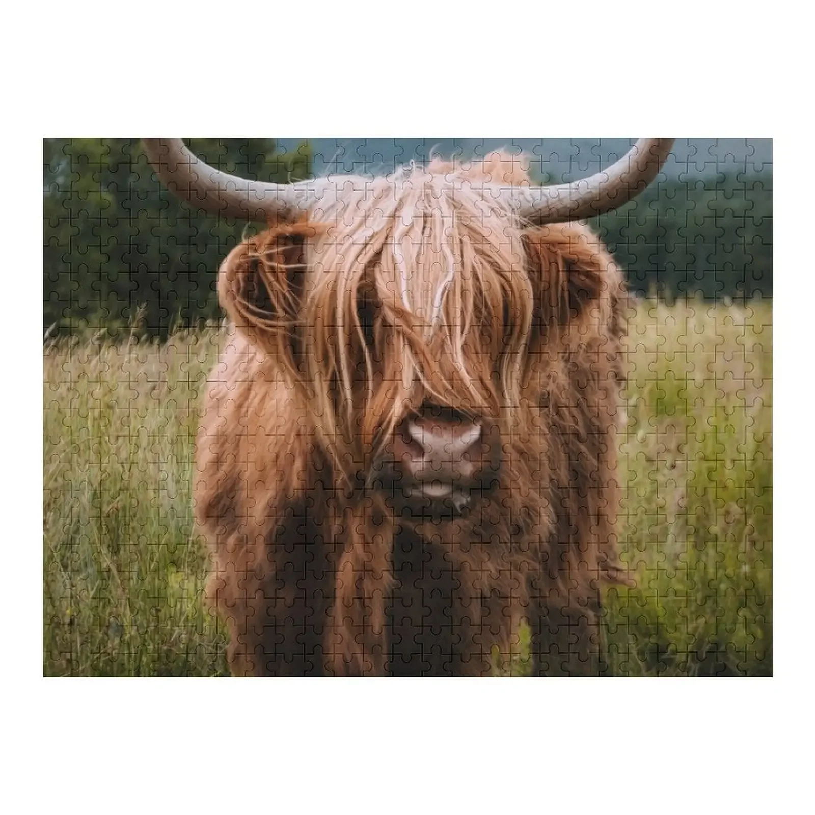 Wooly Cow – Scottish Highland Cattle in Scotland Jigsaw Puzzle Baby Toy Customizable Gift Puzzle
