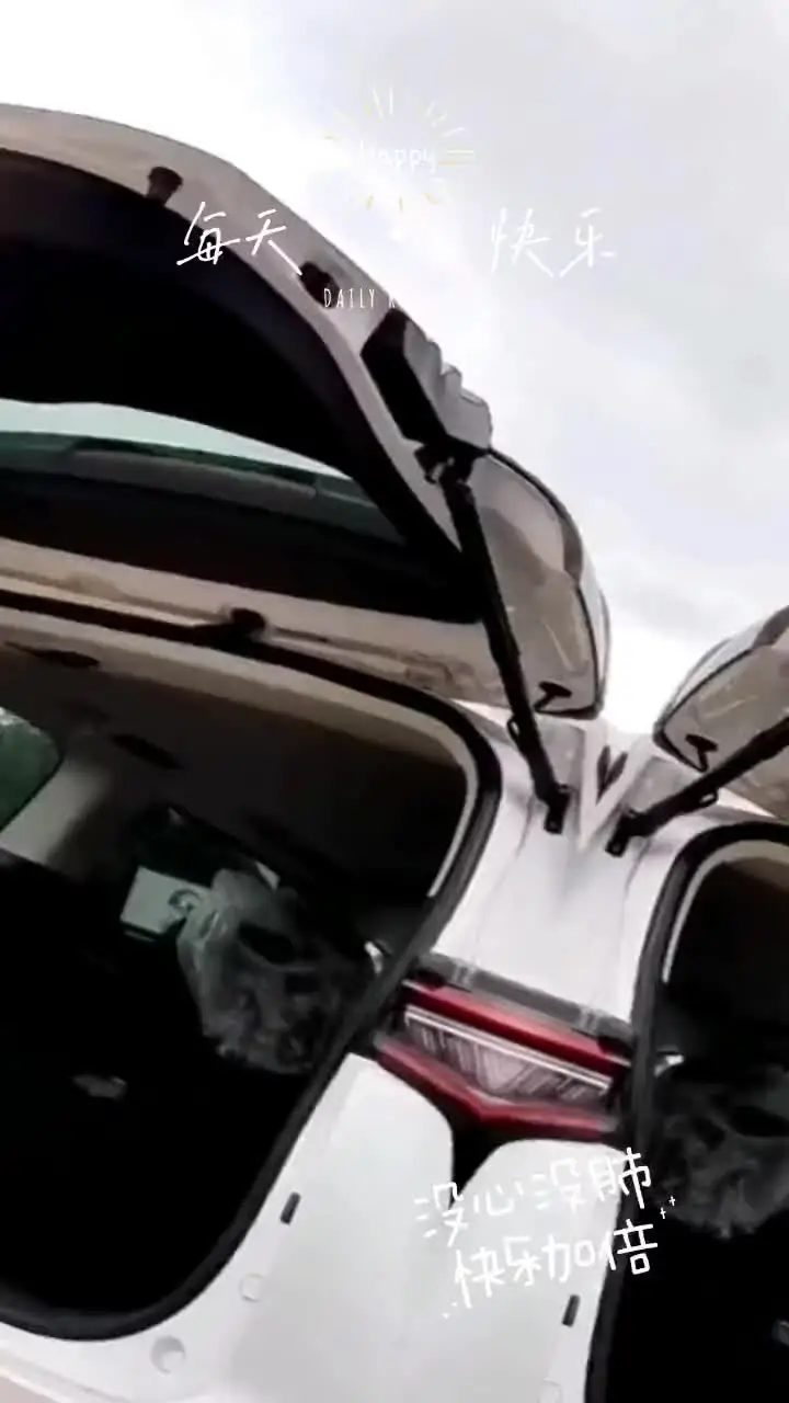 Для Maxus G90 LDV MIFA 9 MG M9 EV задняя дверь электрическая подъемная опора поддержка