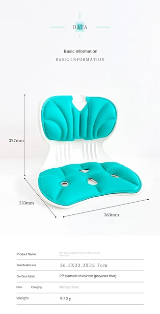 Sitting Posture Correction Chair Ergonomic Lower Back Support Lumbar Posture  Corrector for Low Back Pain Relief