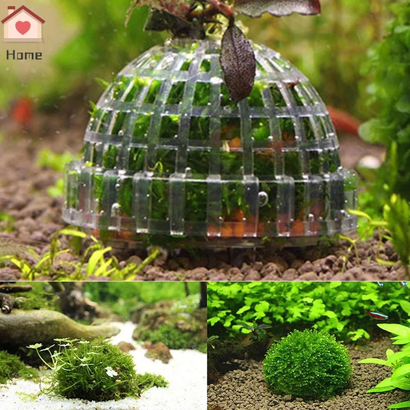Aquarium Fish Tank Decorations Moss Ball Live Plants Filter Aquatic Pet Supplies