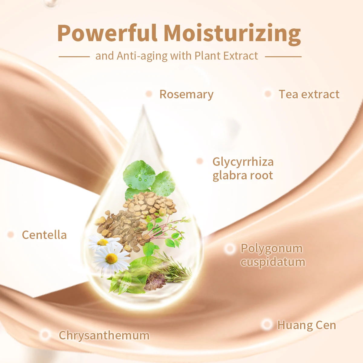 Air Cushion BB Cream and Makeup Cosmetics
