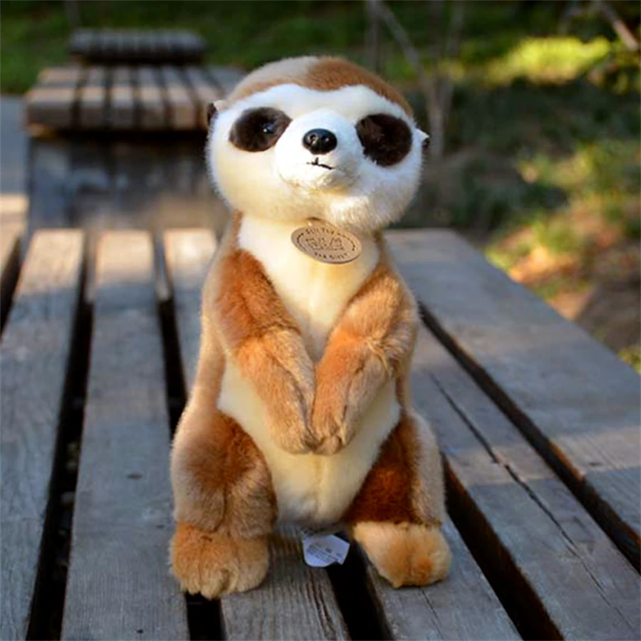 Meerkat High Fidelity Anime Cute Mongoose Plushie Suricate Plush Toys Lifelike Animals Simulation Stuffed Doll Kawai Toy Gifts 4
