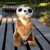 Meerkat High Fidelity Anime Cute Mongoose Plushie Suricate Plush Toys Lifelike Animals Simulation Stuffed Doll Kawai Toy Gifts 4