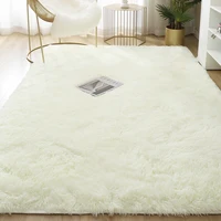 Carpet for Living Room Fluffy Bed Room Rug Home Decor Window Bedside Carpets Thick Rugs Soft Velvet Mat High Quality 1